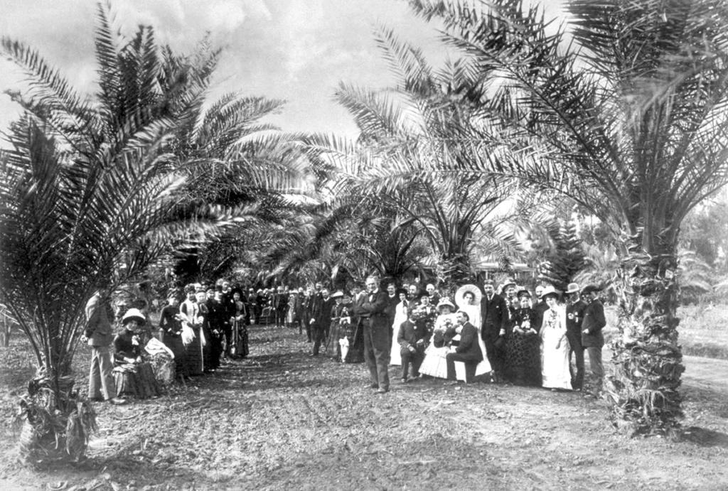 Lawn Party under the Date Palms, Glen Annie, Col_ W_W_ Hollister's, Santa Barbara, 1885